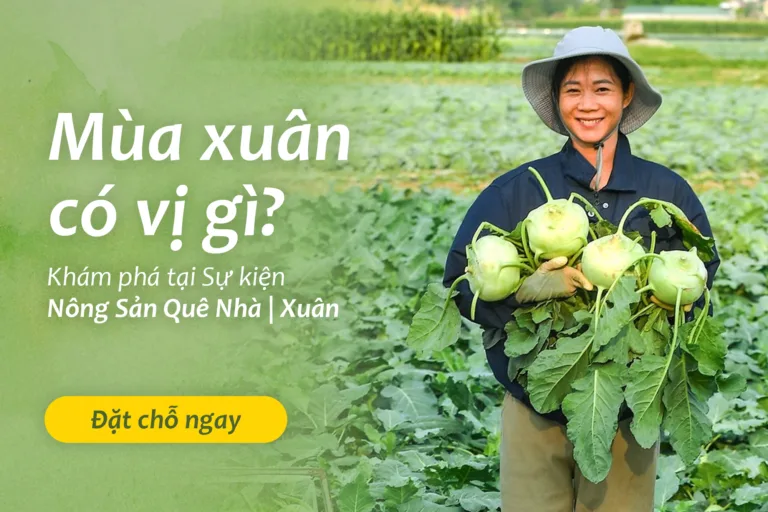 Marketing thực phẩm hữu cơ, tôn vinh nông sản Việt cùng Hum Dining